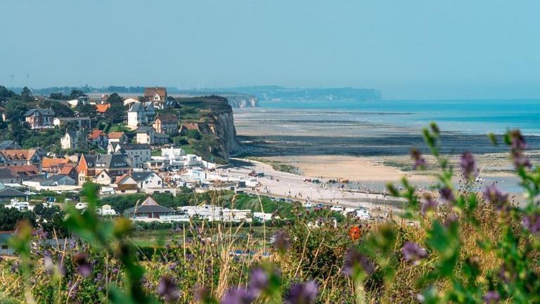 Le Petit Gite De La Roseraie Quiberville エクステリア 写真